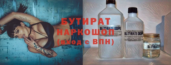 молекула духа Богданович