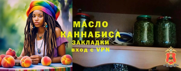молекула духа Богданович