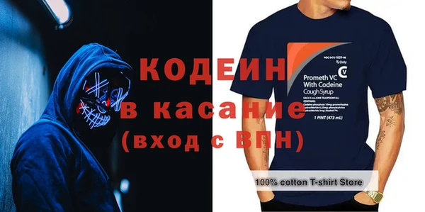 молекула духа Богданович