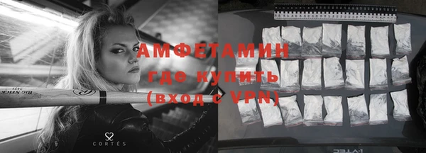 молекула духа Богданович