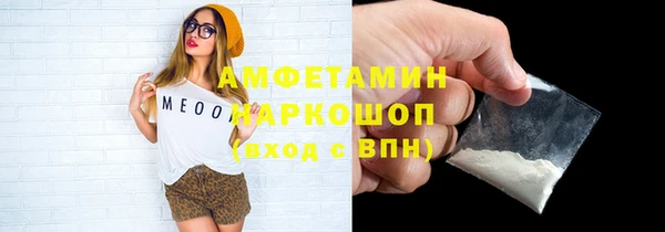 молекула духа Богданович