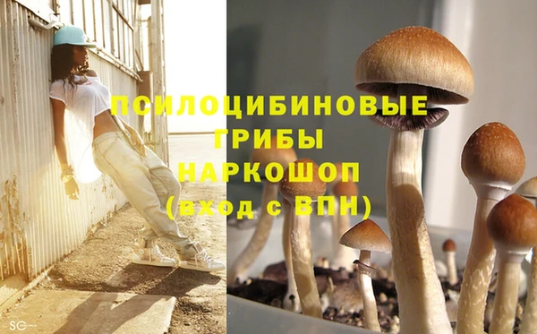 молекула духа Богданович
