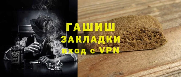 молекула духа Богданович
