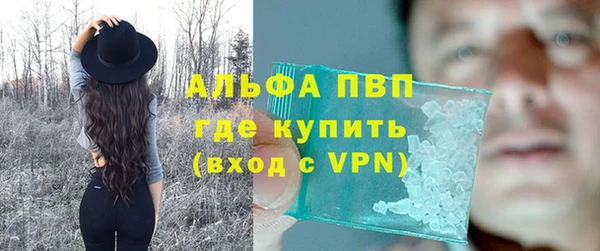 молекула духа Богданович
